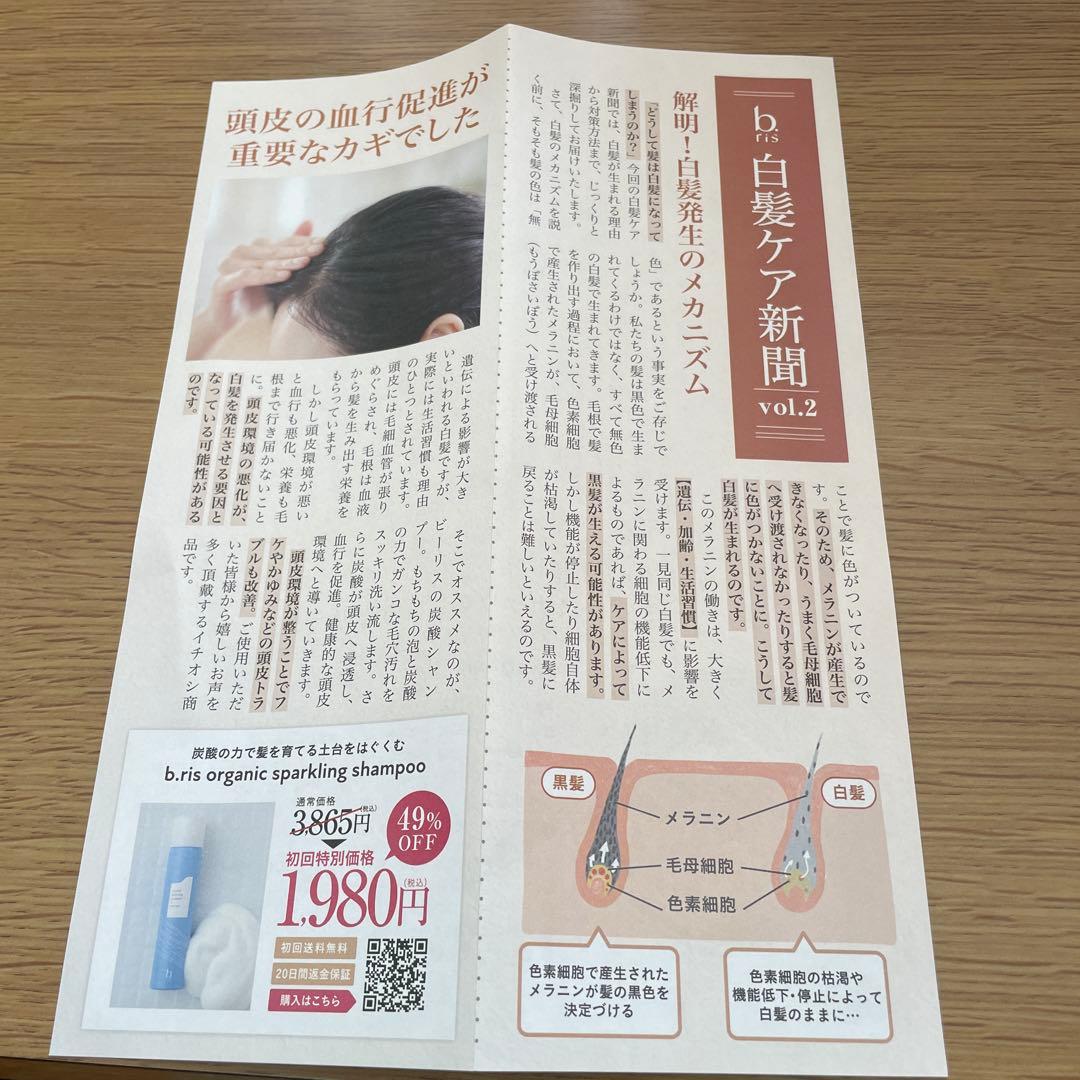ビーリスライフ　白髪染め3本セット（ブラック）