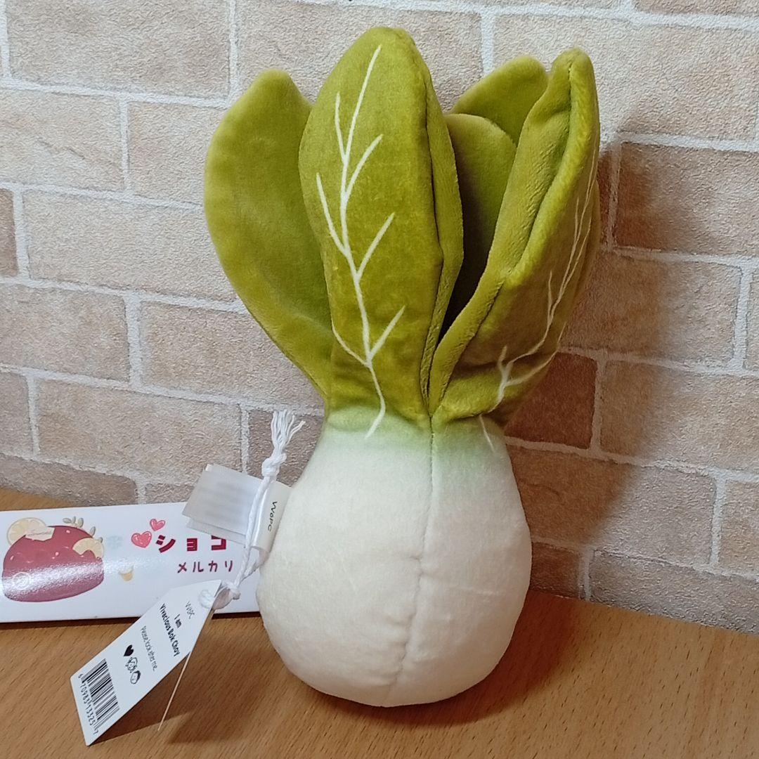  Vivacious Bok Choy　白菜　チンゲン菜　野菜