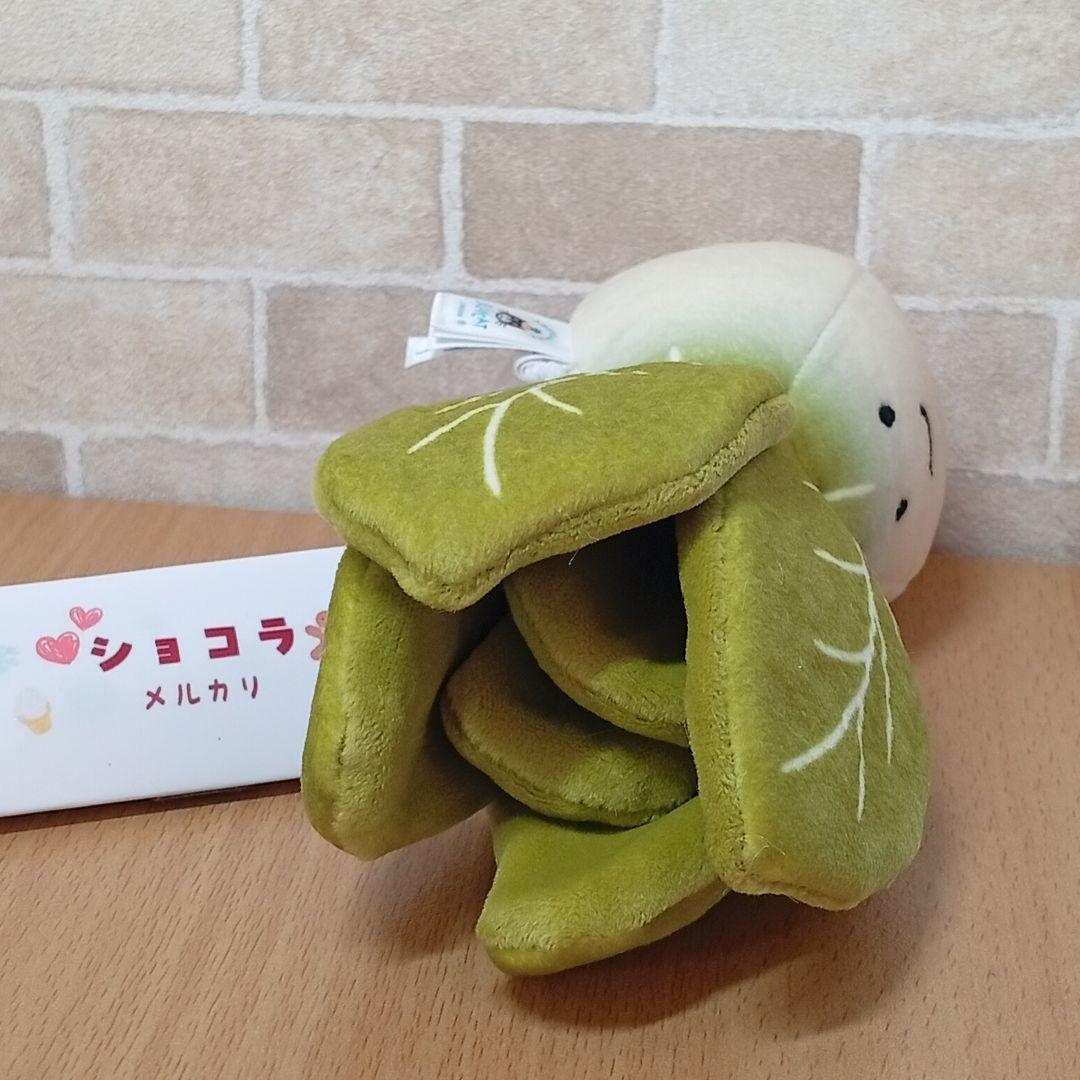  Vivacious Bok Choy　白菜　チンゲン菜　野菜