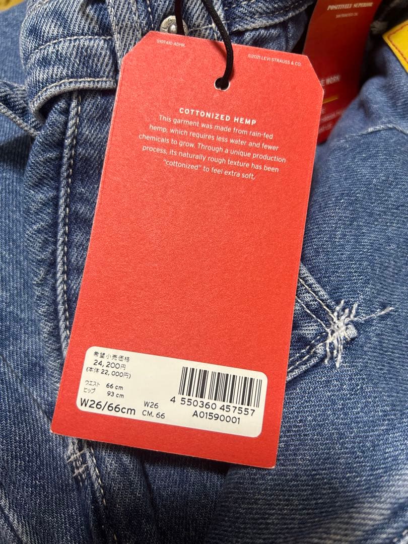 Levi's RED リーバイス レッド LOW LOOSE WORK PANT