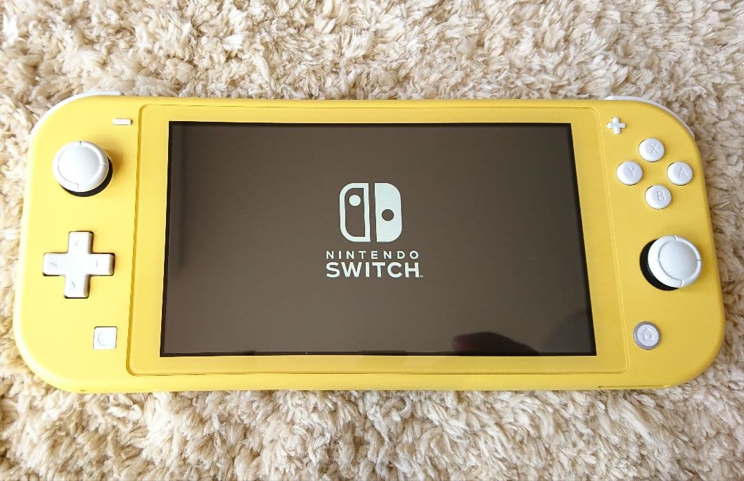【美品】 Nintendo Switch Lite 本体 ACアダプター付き