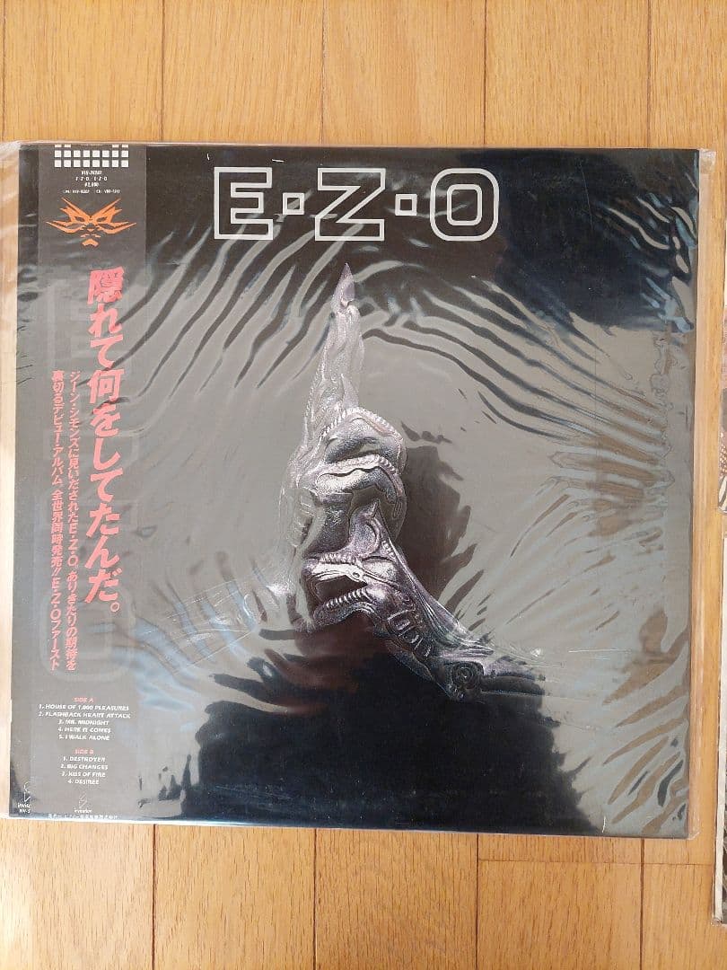 EZO レコードセットステッカー他