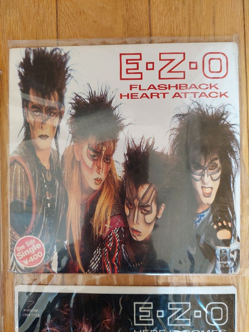 EZO レコードセットステッカー他