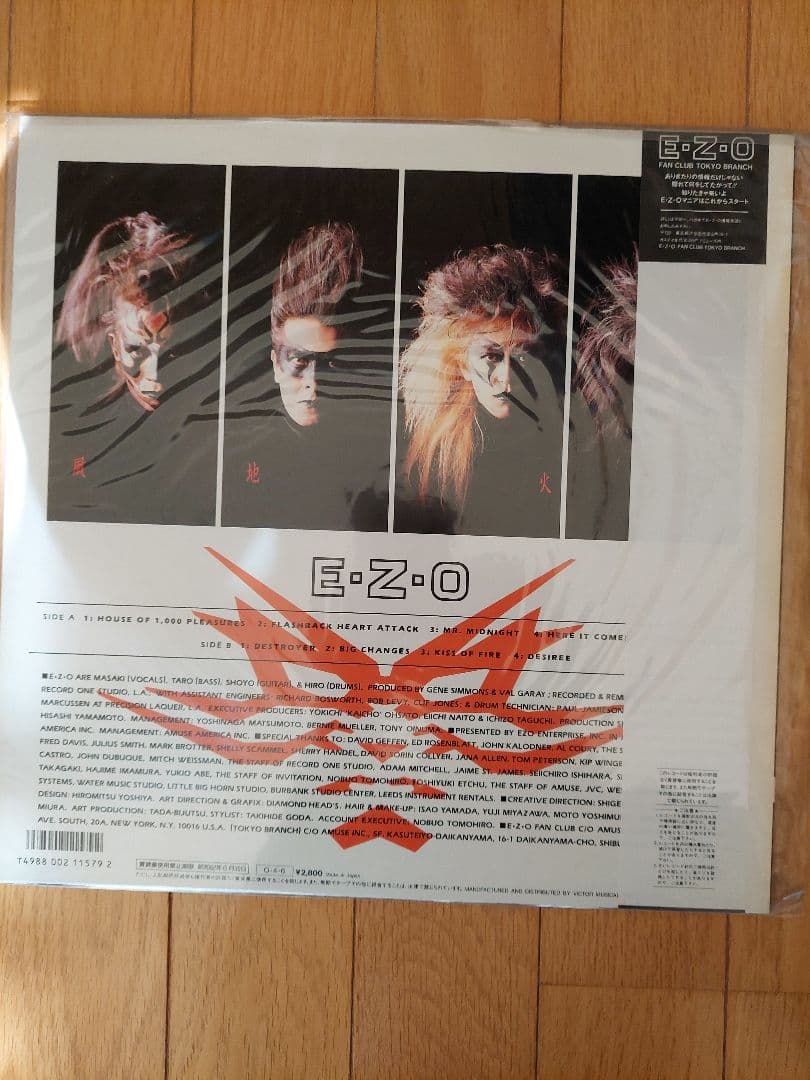 EZO レコードセットステッカー他