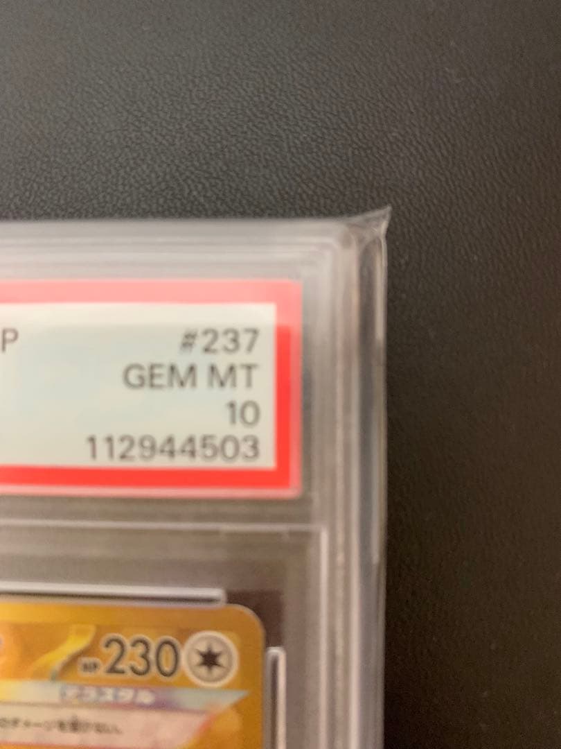 【*つ様 テラパゴス ex #237 ウルトラレア GEM MT 10