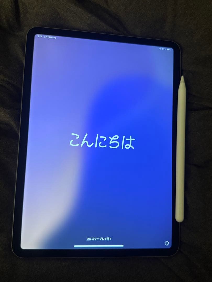 iPad本体 iPad Pro (11inch)64GB+ Apple Pencil