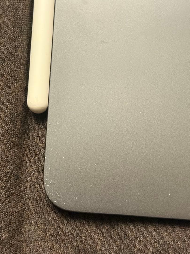 iPad本体 iPad Pro (11inch)64GB+ Apple Pencil