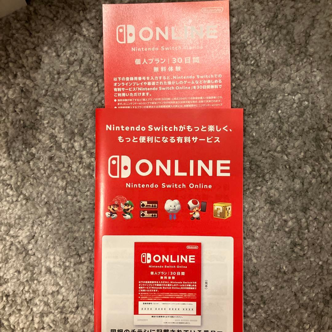 Nintendo Switch Lite グレー 本体 HDH-S-GAZAA