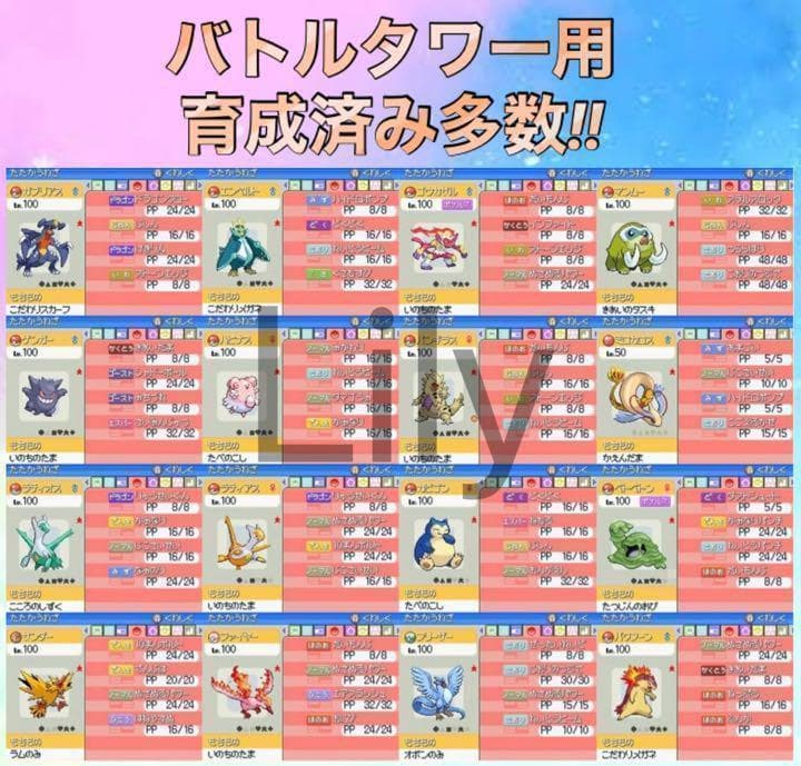 ポケットモンスター　ケース付き　ハートゴールド