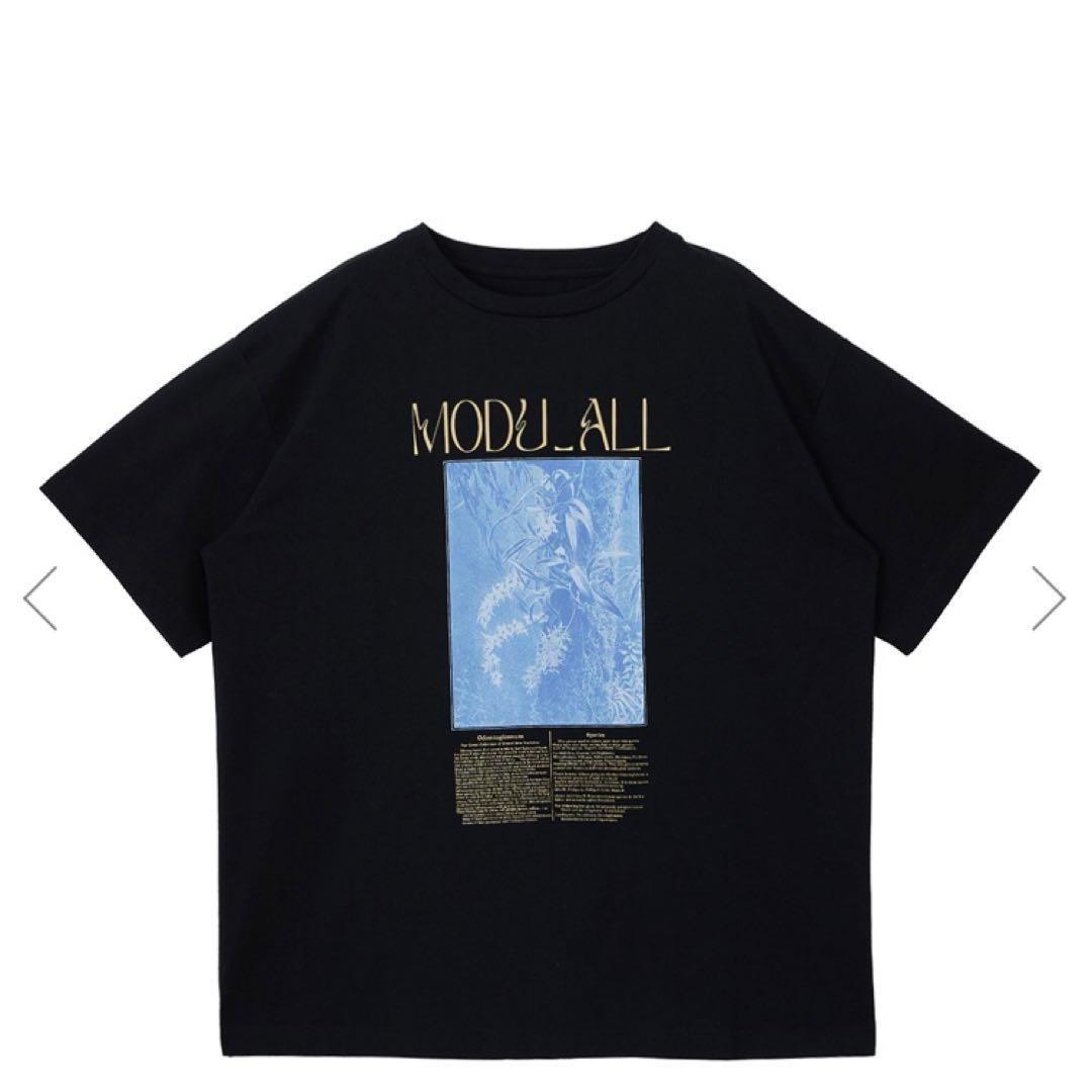 トップス ameri vintage 24SS CONCEPT PRINT TEE