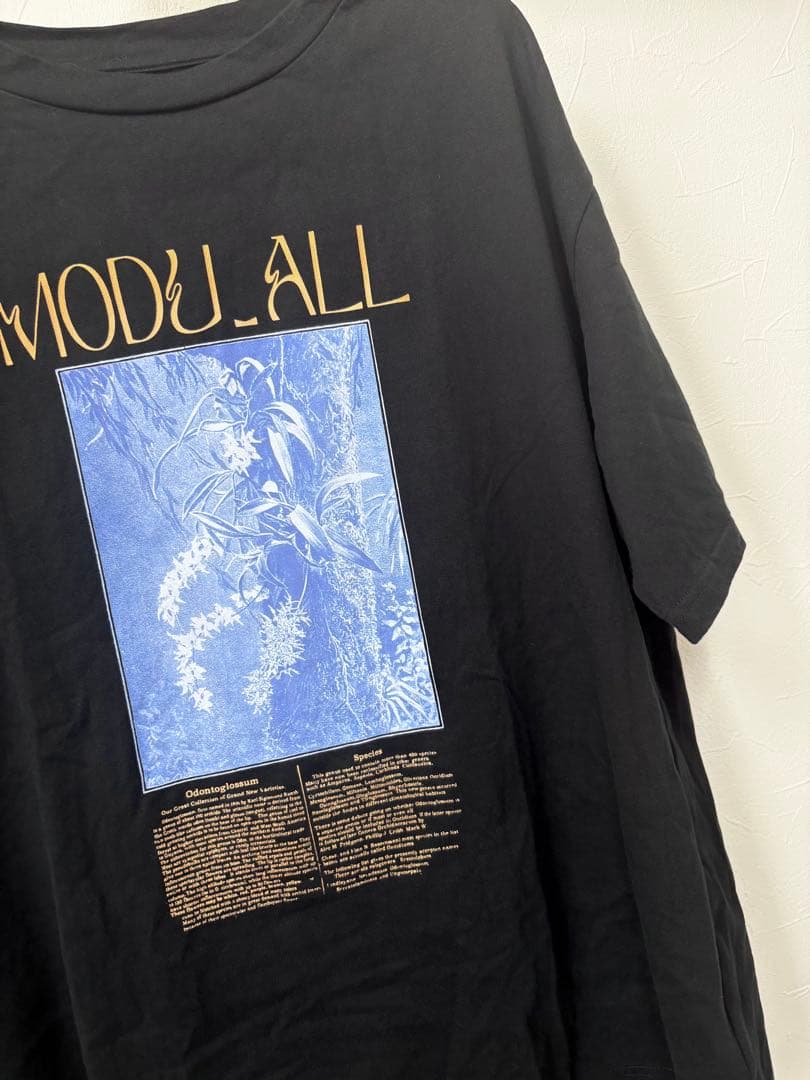 トップス ameri vintage 24SS CONCEPT PRINT TEE