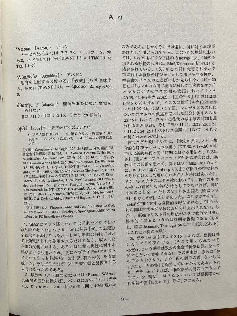 新約聖書釈義事典　全3巻セット