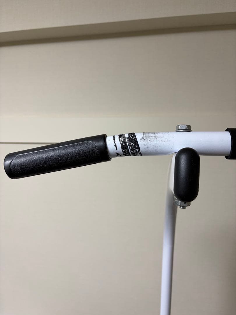 WASAI ぶら下がり健康器 BS30 ホワイト