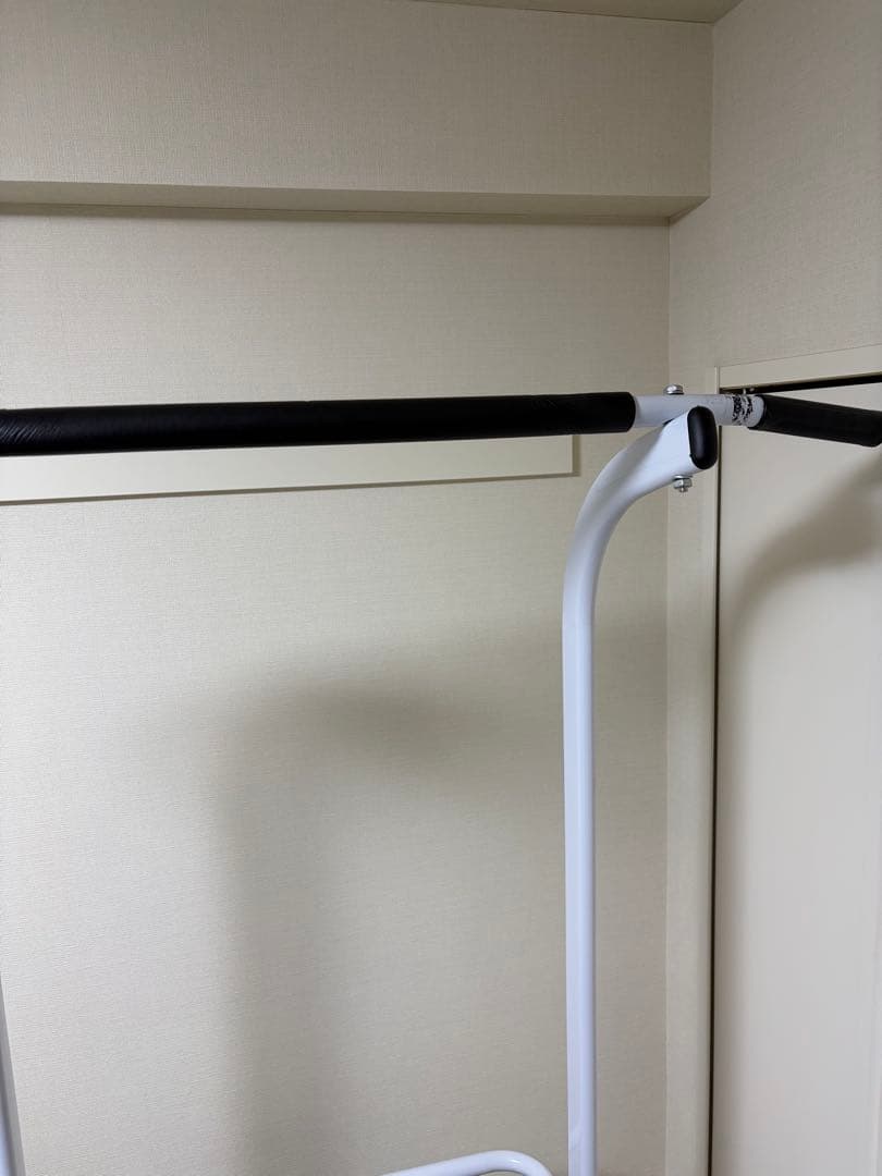 WASAI ぶら下がり健康器 BS30 ホワイト