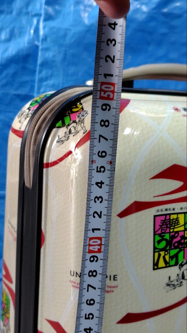 新品早い者勝ち★うなぎパイキャリーケース25㍑★機内持込サイズ★レア