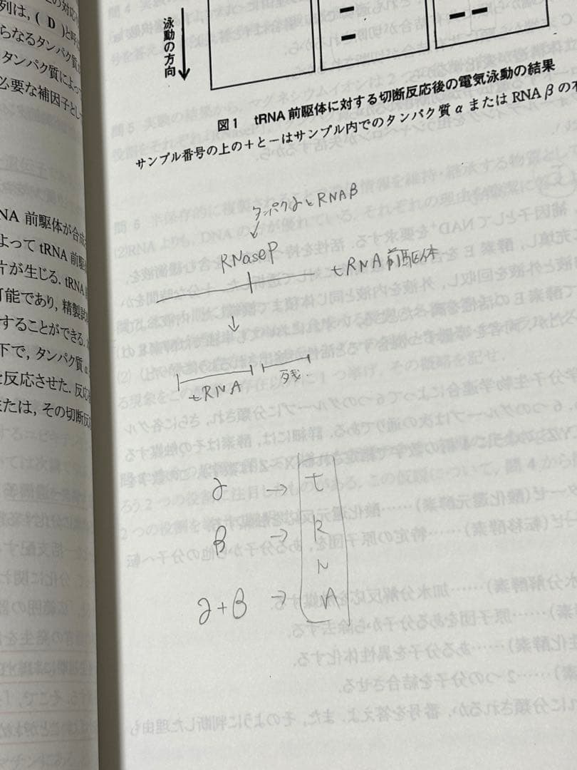 KALS医学部学士編入対策講座テキスト集