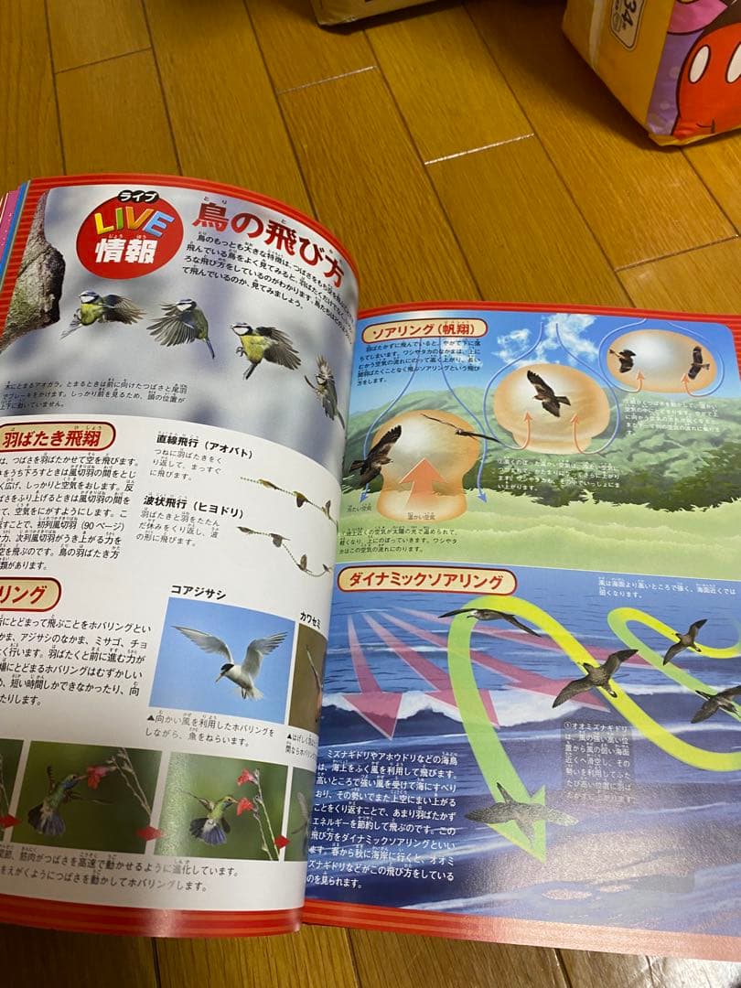 講談社MOVE＆学研他　児童向け図鑑 5冊セット