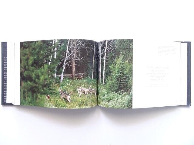 洋書◆オオカミ 写真集 本 狼 ウルフ