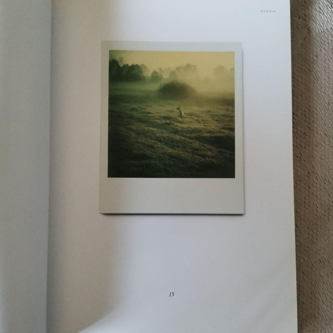 アート・デザイン・音楽 Instant Light: Tarkovsky Polaroids