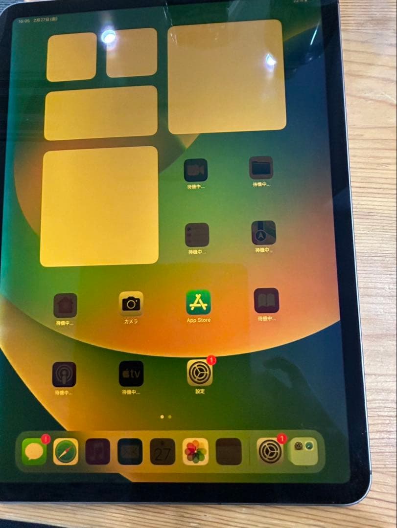 iPad pro 11インチ 第一世代 Cellular 256GB ジャンク品
