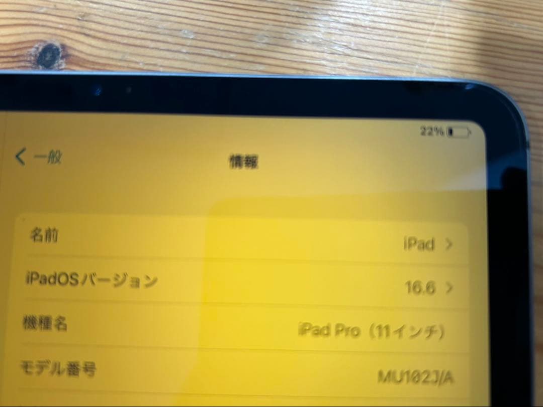 iPad pro 11インチ 第一世代 Cellular 256GB ジャンク品
