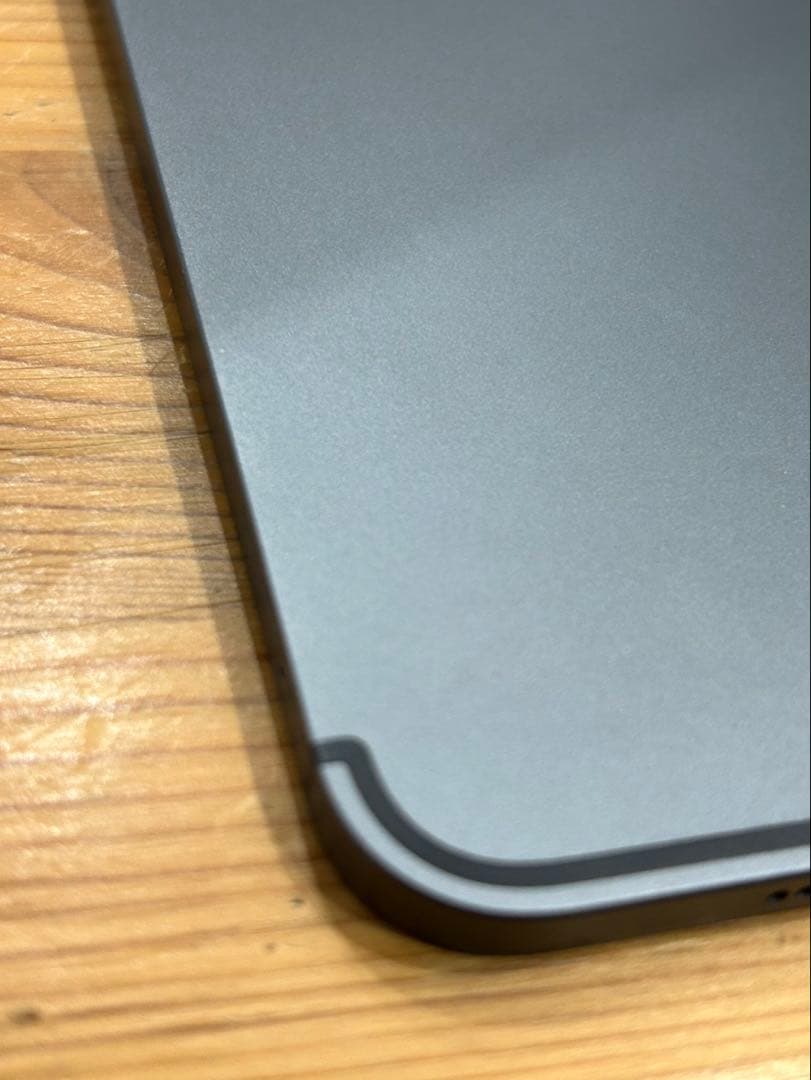 iPad pro 11インチ 第一世代 Cellular 256GB ジャンク品