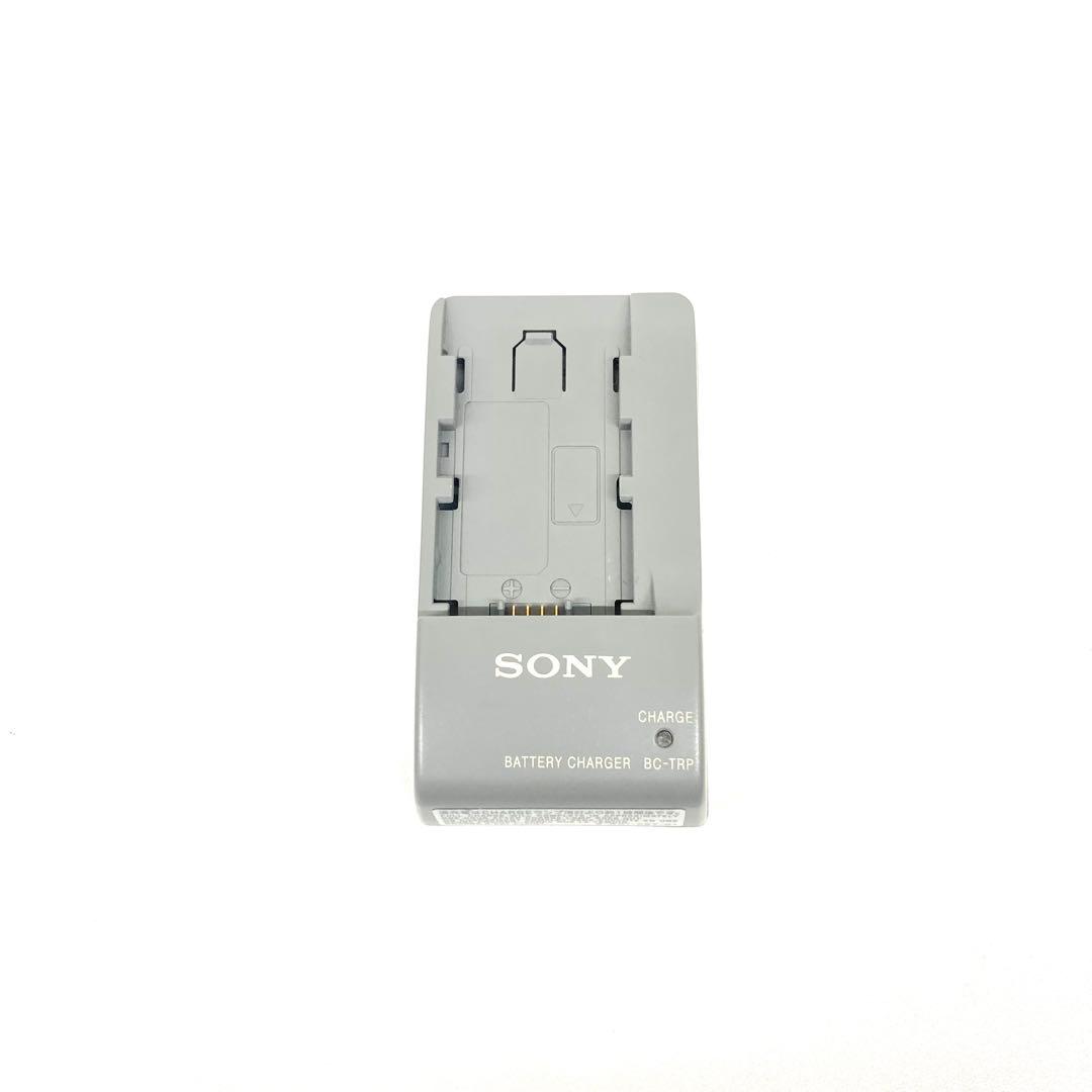 【美品】SONY HDR-SR11 ハンディカム 1080pセット⭐︎