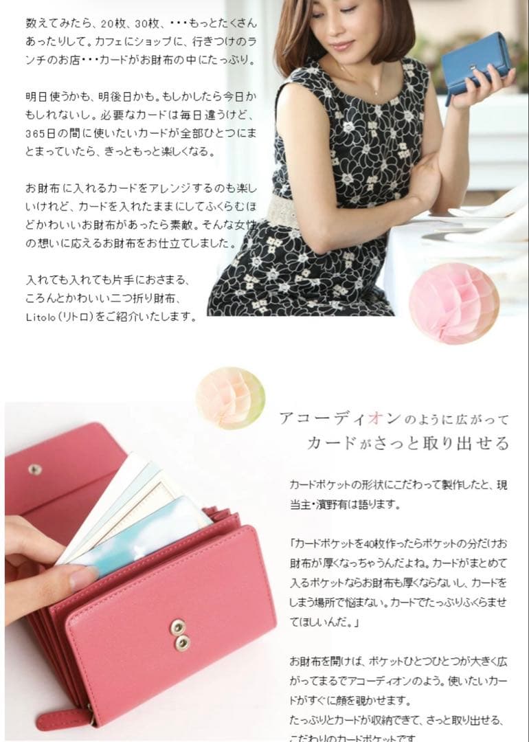 【新品】傳濱野　DEN HAMANO リトロ Litolo カード収納多数！