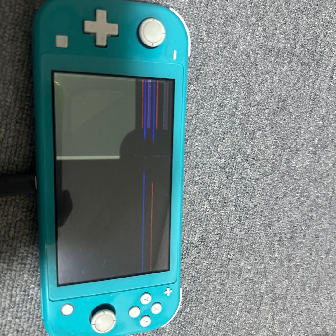 Switch ライト　完全ジャンク品