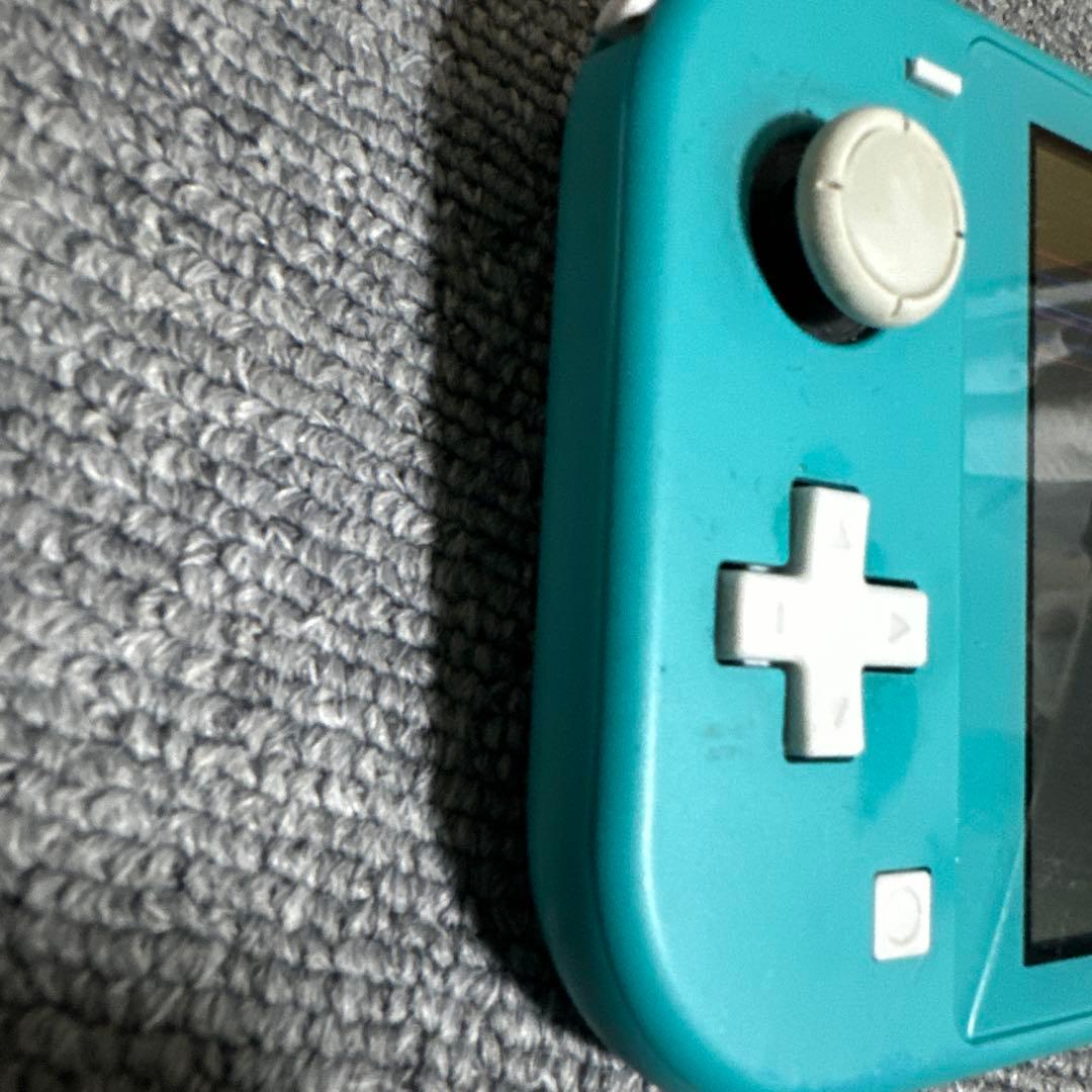 Switch ライト　完全ジャンク品