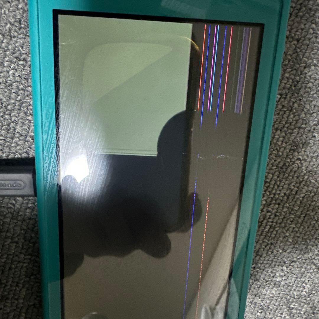 Switch ライト　完全ジャンク品