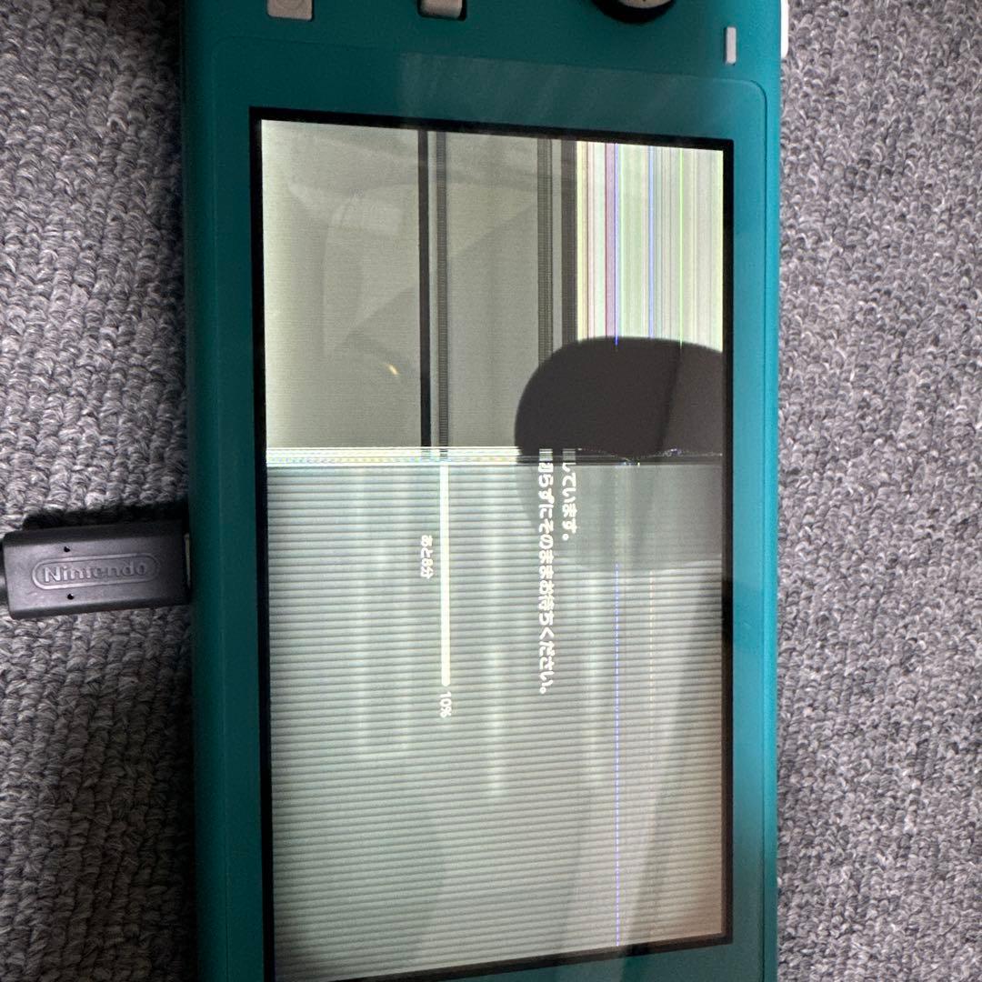 Switch ライト　完全ジャンク品