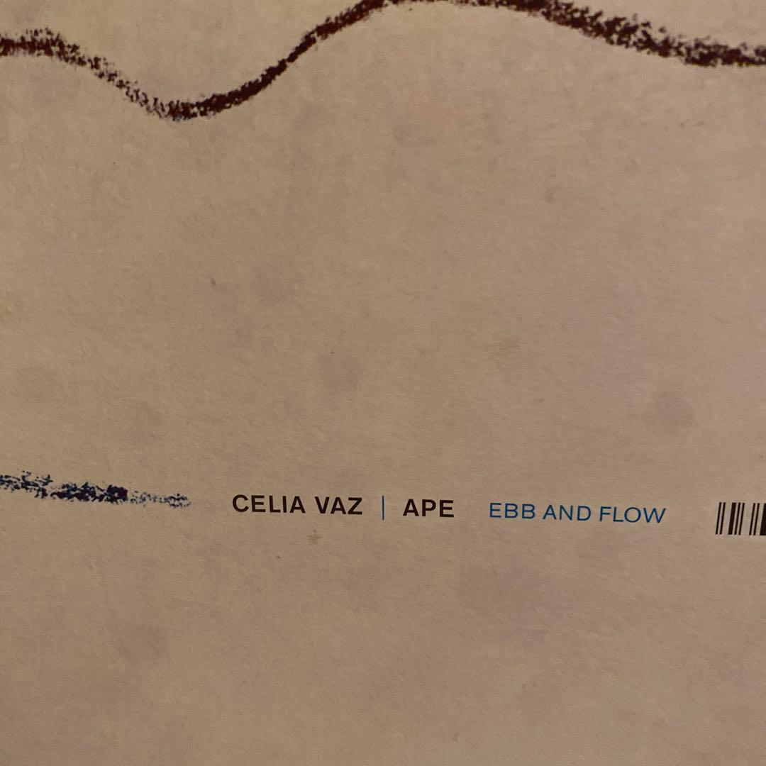 洋楽 Celia Vaz Ebb and Flow