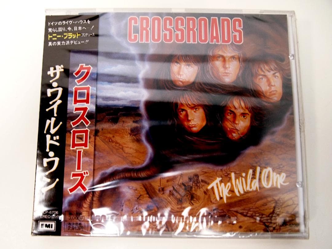 未開封品！見本盤・廃盤 CROSSROADS / THE WILD ONE