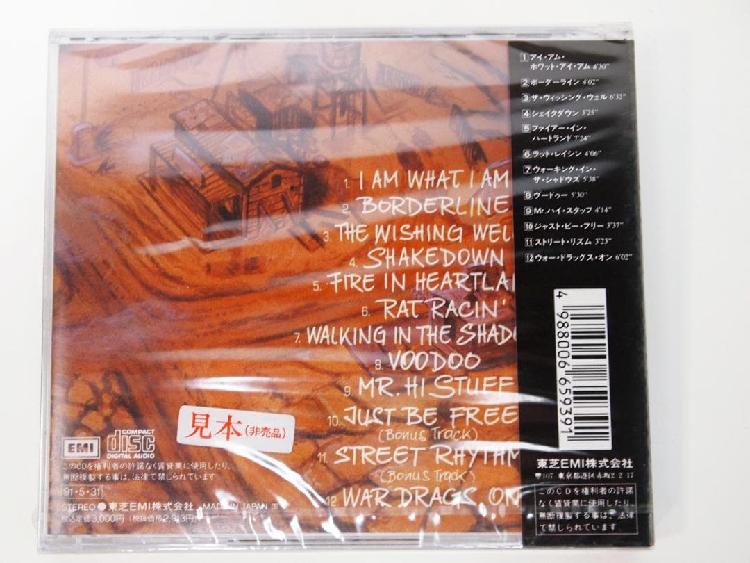 未開封品！見本盤・廃盤 CROSSROADS / THE WILD ONE