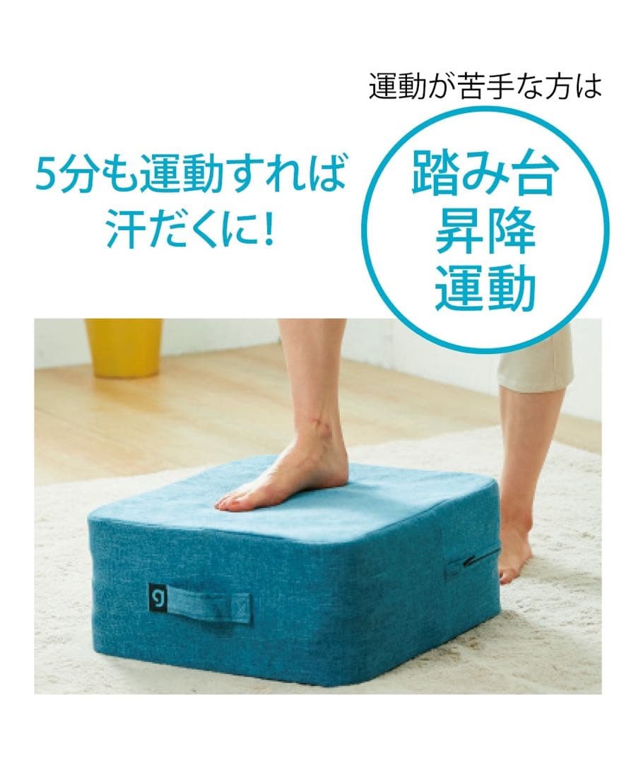 ジムテリア　シェイプキューブ　スカイブルー