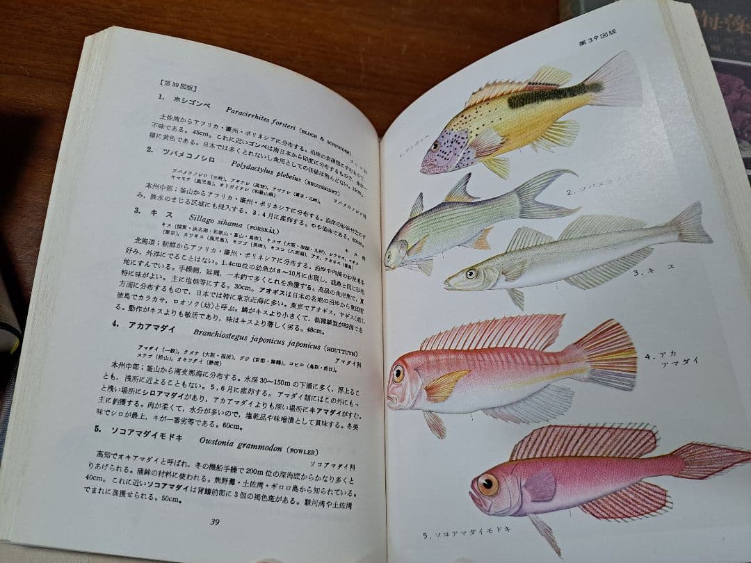 期間限定値下げ中！【絶版・希少】保育社 原色図鑑 【魚類】4冊セット