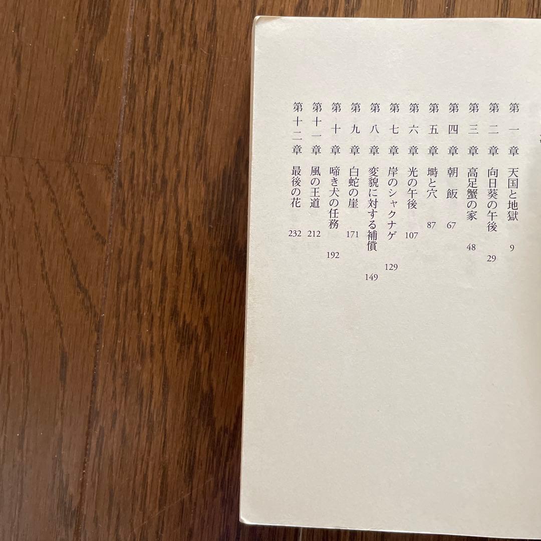 湖水誕生 曽野綾子