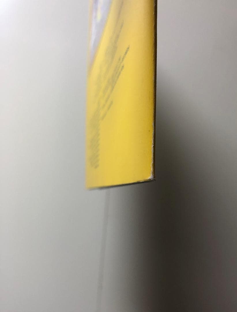 麗美 ツアーパンフレット
