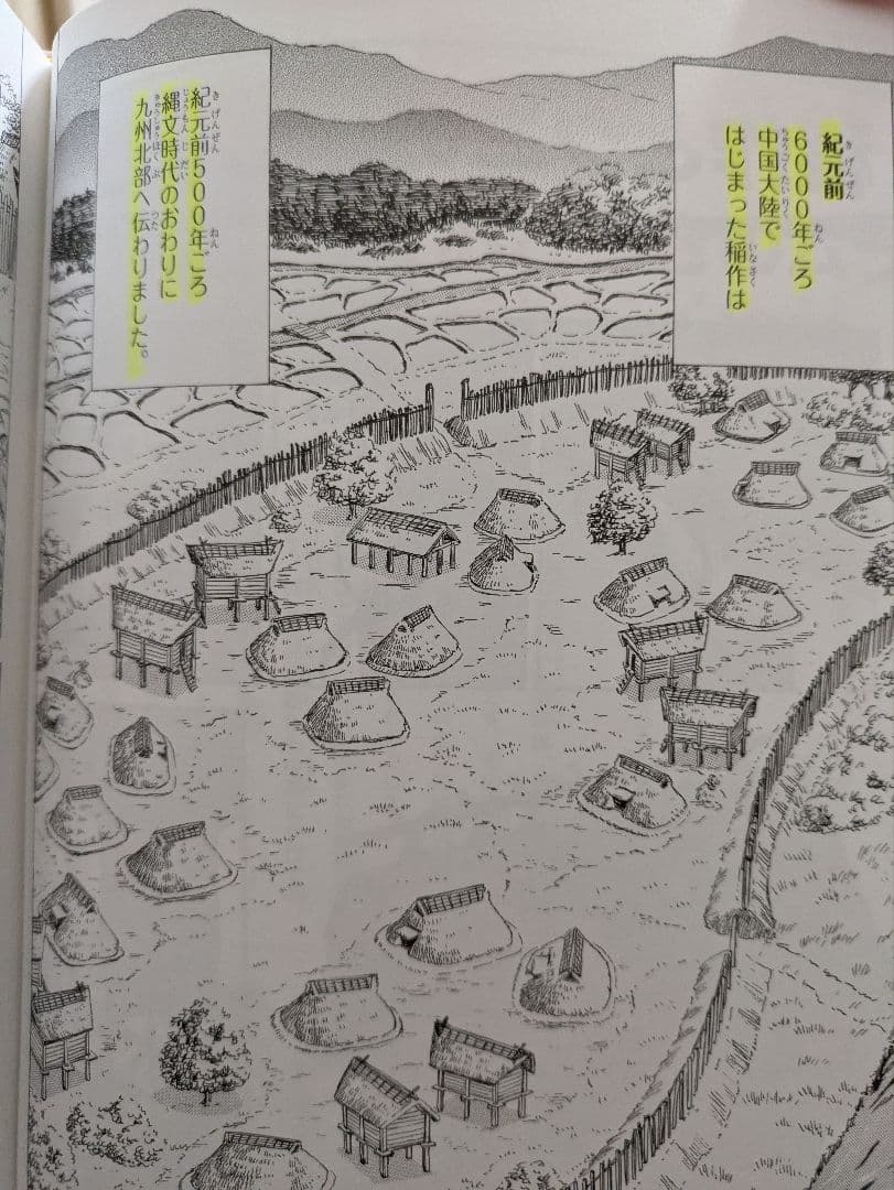 日本の歴史 全巻セット ボックス