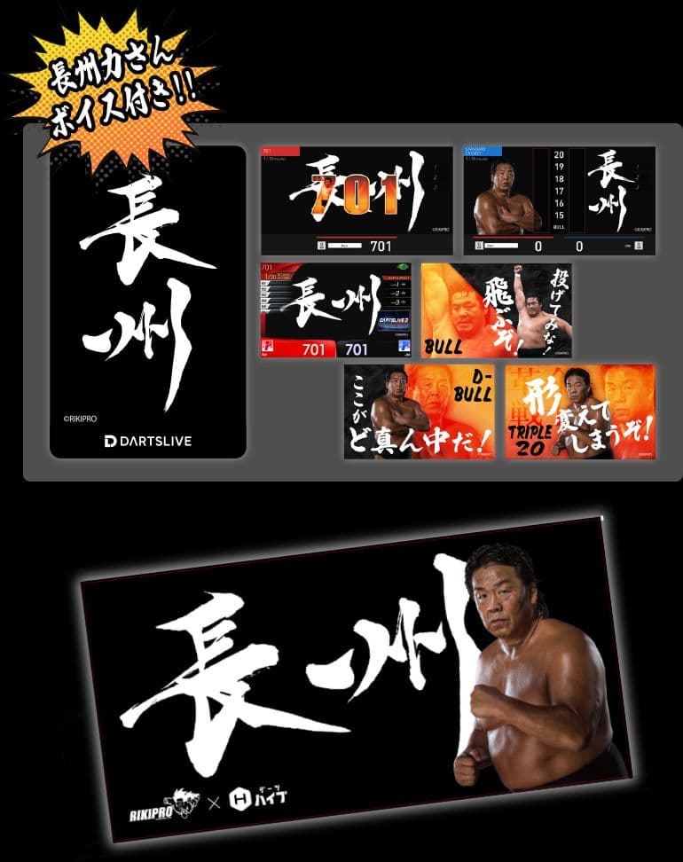 DARTSLIVE 長州力 ダーツライブカード コンプリートセット