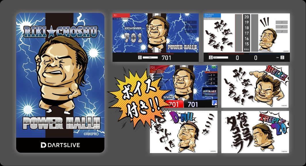 DARTSLIVE 長州力 ダーツライブカード コンプリートセット