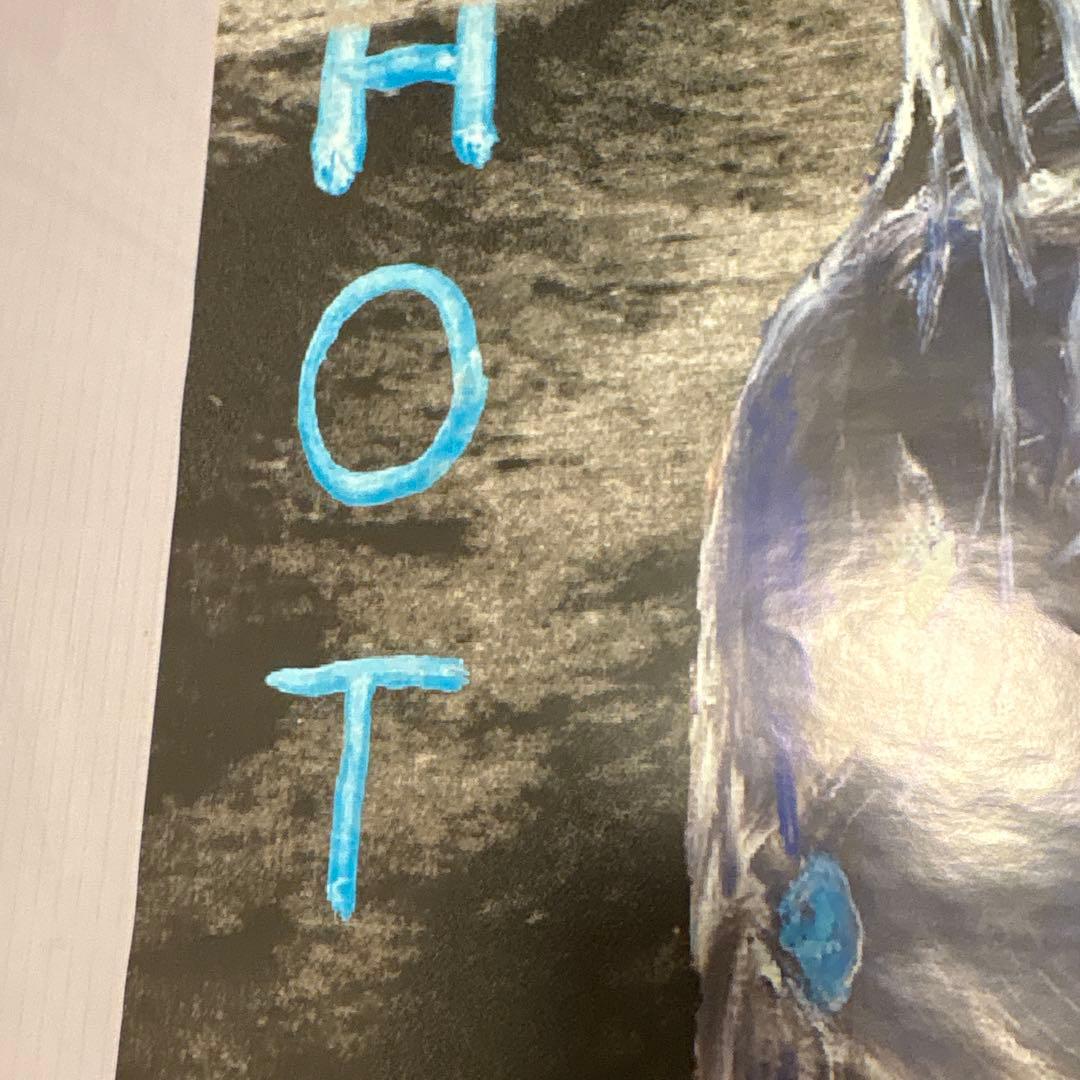 値下げ　RED HOT CHILI PEPPERS BY THE WAYポスター