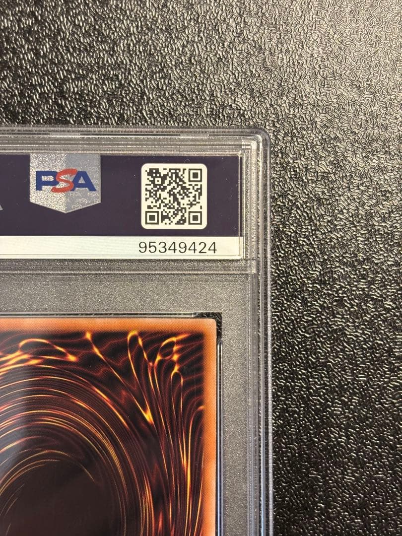 遊戯王 水霊使いエリア シークレット 決闘者の王国 PSA10