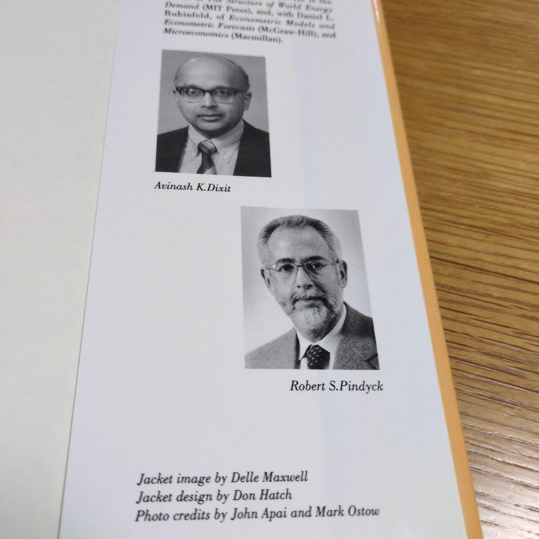 ビジネス・経済 INVESTMENT UNDER UNCERTAINTY