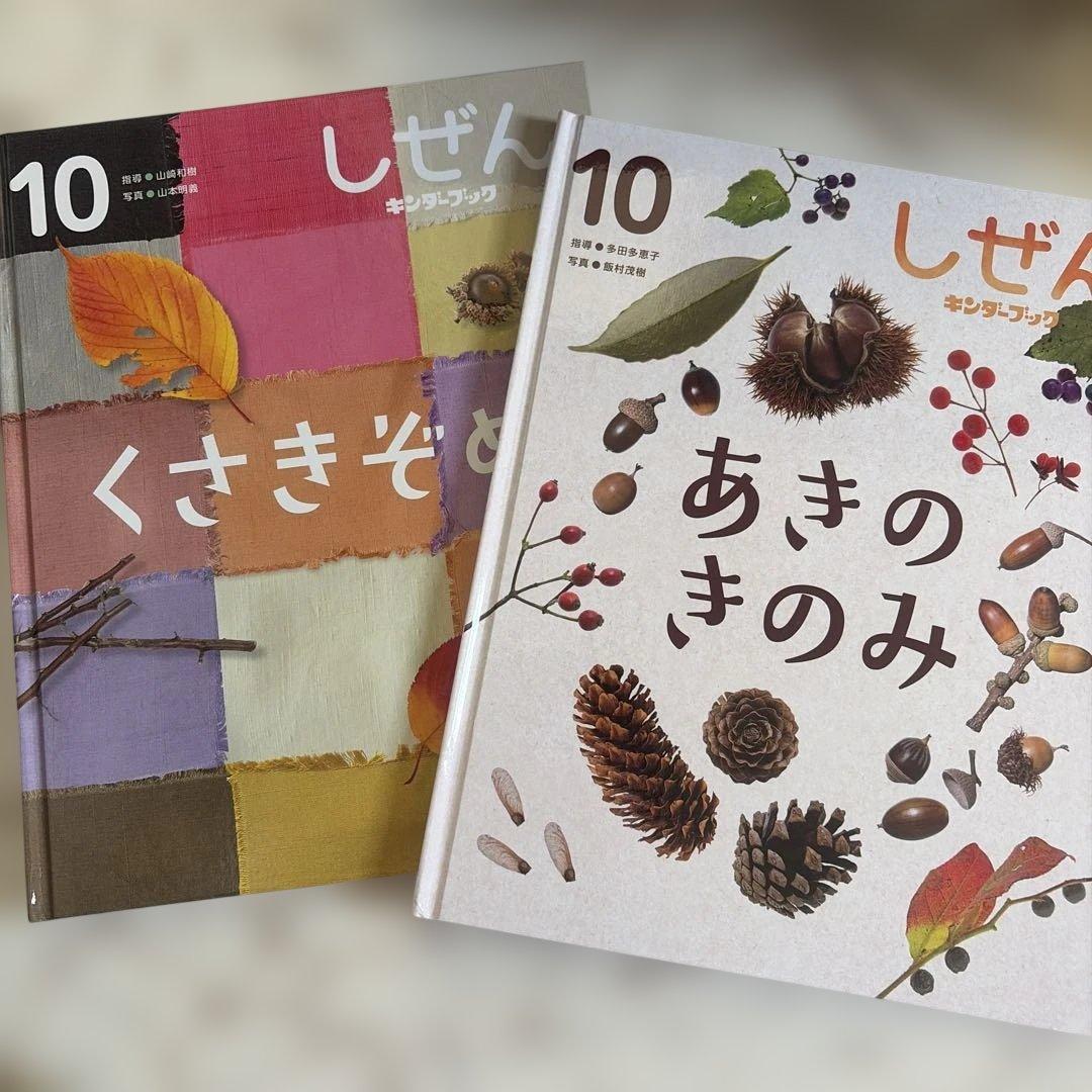 しぜん 絵本シリーズ 20冊のまとめ売り　年長向け