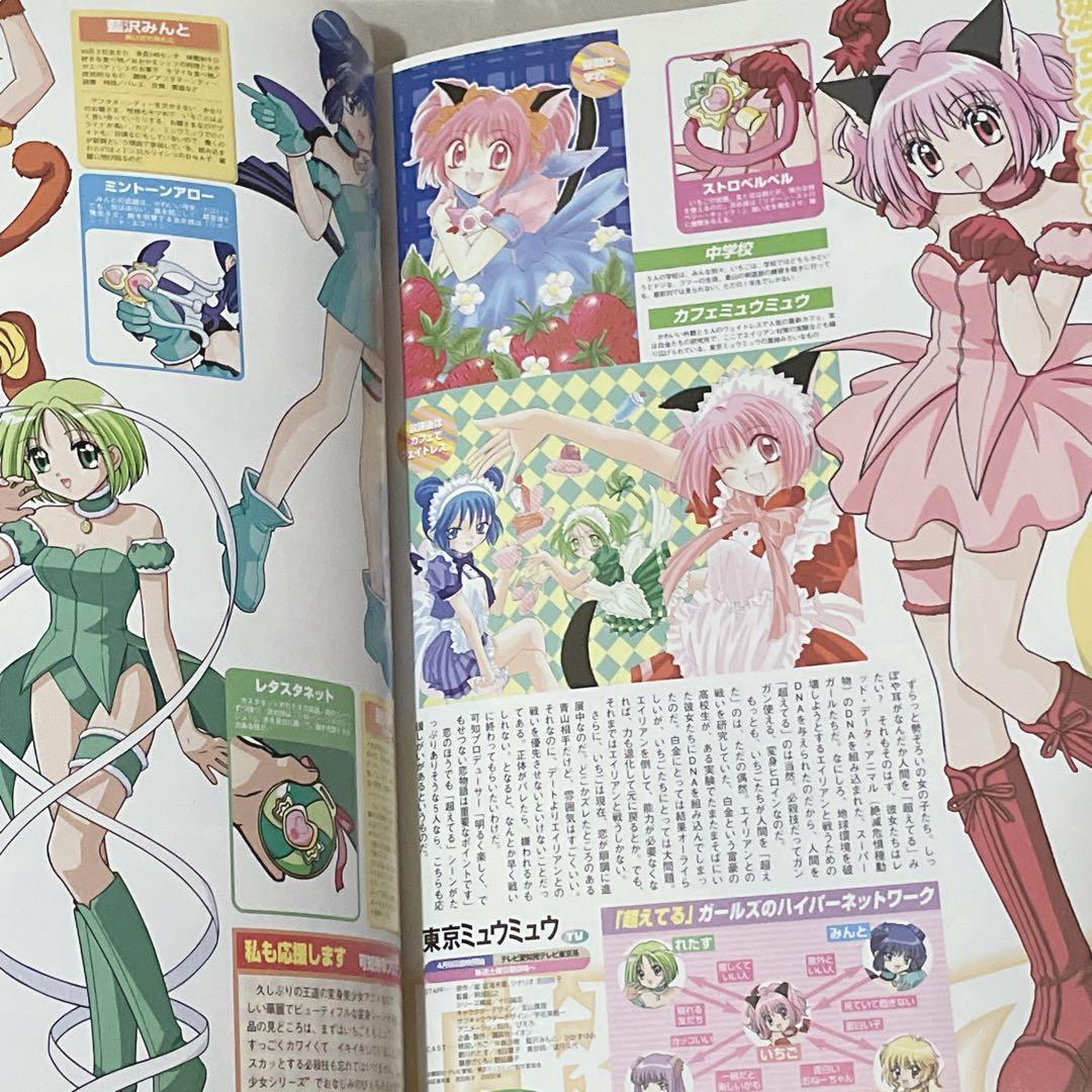 メガミマガジンMegami Vol.23 Kanon東京ミュウミュウ