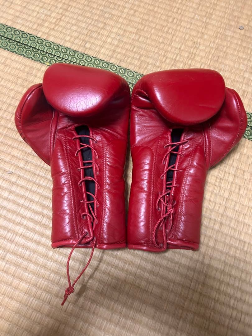 CASANOVAレッド ボクシンググローブ