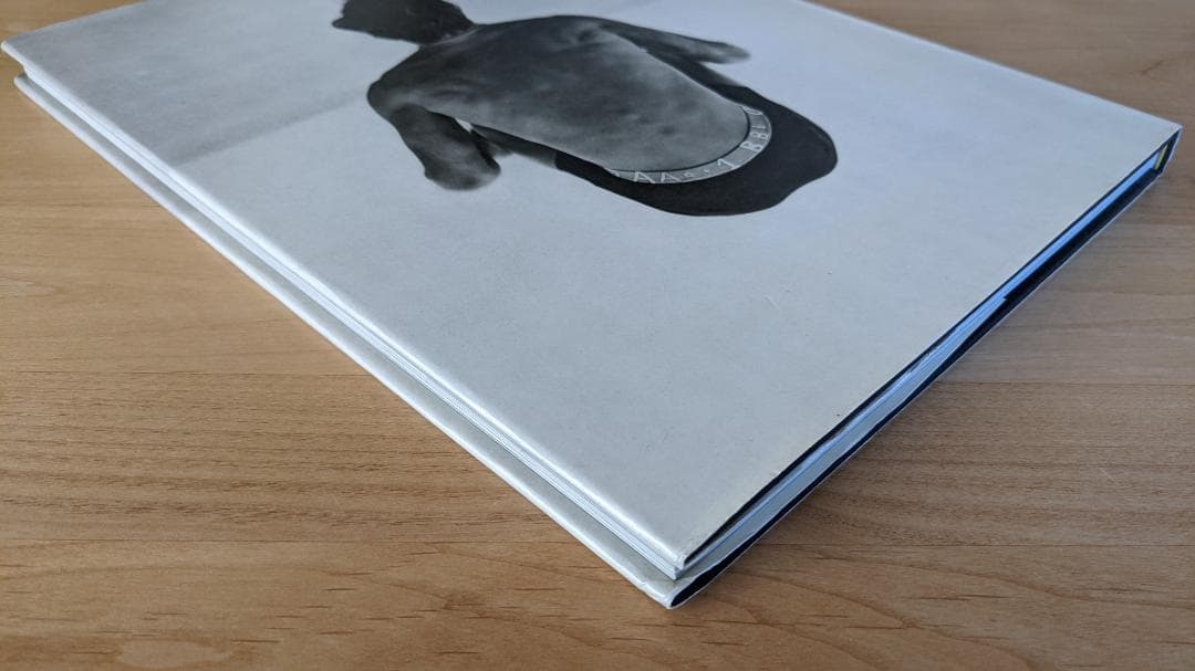 洋書 Herb Ritts / Herb Ritts Pictures