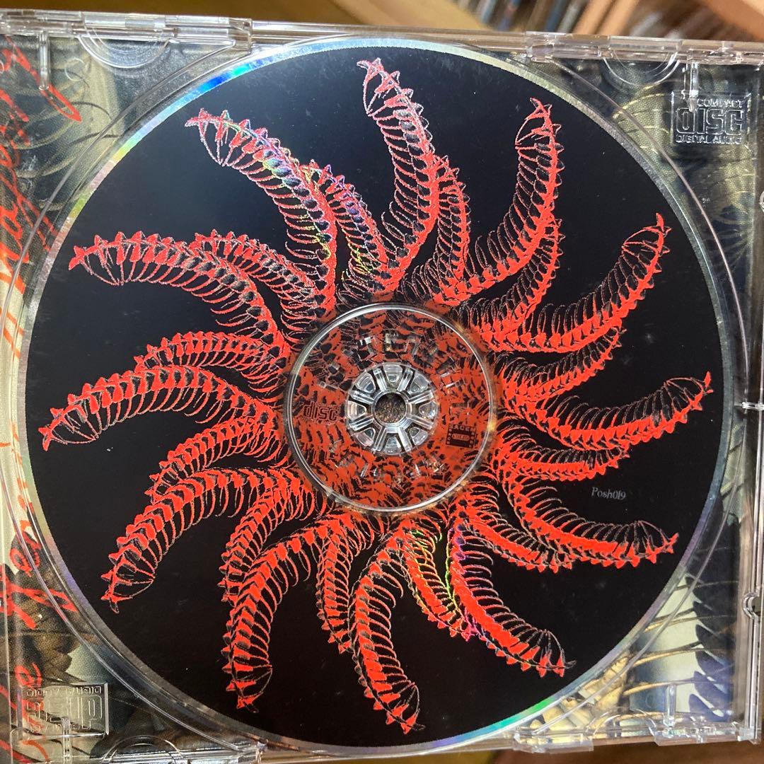 洋楽 MUTANT